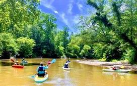 Lower Chestatee River Day Paddle