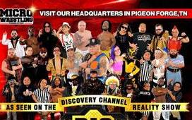 MICRO WRESTLING