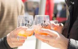 Georgia Food + Wine Festival