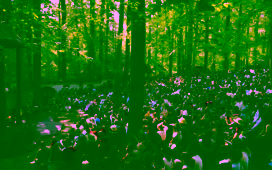 Maryland Renaissance Festival 2026