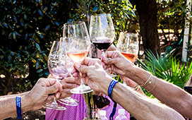 10th Annual Harvest Wine & Food Festival 
